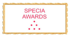 Премия Special Awards
